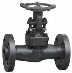Flange forged steel gate valve as a whole