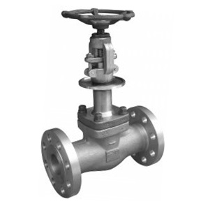 The low temperature flange globe valve